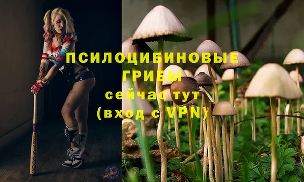 кокаин премиум Беломорск