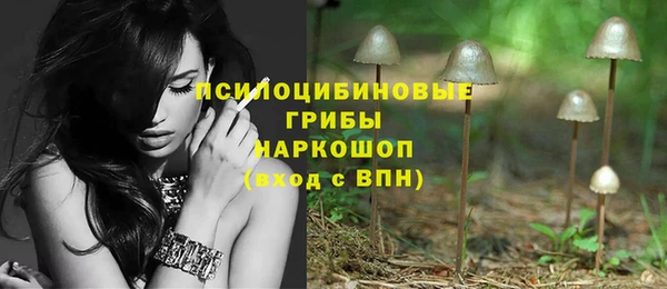 МДМА Белокуриха