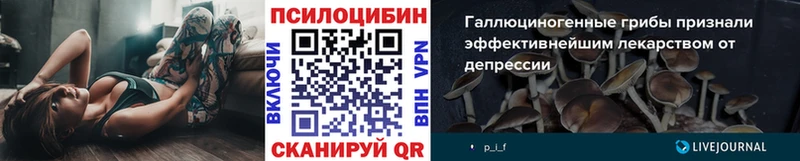Купить закладки  Красавино  Псилоцибиновые грибы Cubensis 
